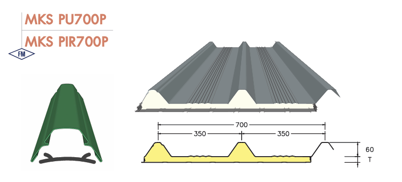 MKS PU/PIR700P