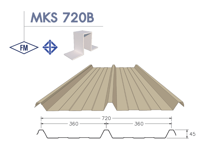 MKS 720B