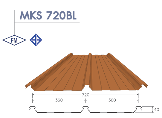 MKS 720BL