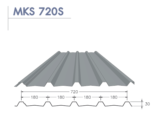 MKS 720S